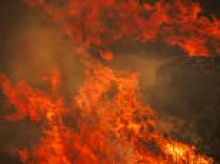 Europe burns: 'Deliberate' wildfires force evacuations of 1,400 people in Spain as uncontrolled blazes injure several in Portugal and Mount Vesuvius is closed to tourists in Italy
