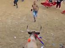 Bullfighter, 35, is gored to death after taunting animal at packed festival