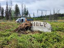 Driver lost in wilderness for nine days had to take disgusting step to survive