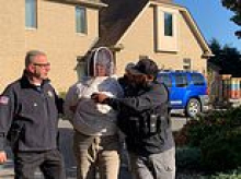 Fugitive arrested three years after she 'angered huge swarm of bees then set them on cops to try and stop an eviction'