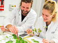 University of Cumbria