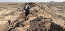 Evolution: Fossilien deuten auf unbekannten Vorfahren des Menschen hin