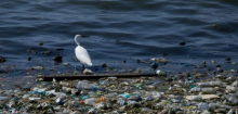 Plastikmüll-Abkommen gescheitert: Die Lobby gewinnt, die ganze Welt verliert