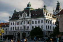 Senat ljubljanske univerze vlado pozval k vzpostavitvi štipendijskega sklada za palestinske študente
