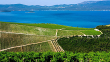 Skok na Pelješac, kjer pod morjem najdemo tudi vino