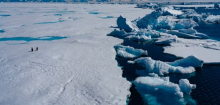 Antarktis: Forscher warnen vor drohendem Kipppunkt - Pinguine in Gefahr