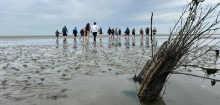 Wattenmeer an der Nordsee: Klimawandel erhöht Risiken beim Erlebnistourismus im Watt