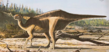 Dinosaurier: Forscher entdecken bislang unbekannte Art auf der Isle of Wight