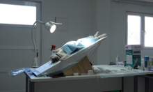 'O mačkama i ljudima' - dokumentarac o kastraciji mačaka otvara ovogodišnji Liburnia Film Festival