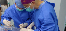 Transplantation in China: Mediziner transplantieren erstmals Schweinelunge in Hirntoten