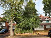 Derelict 'jungle' home left covered by vines after being 'eaten' by nature finally sells for £188,000 - but new owner has a VERY difficult problem to solve