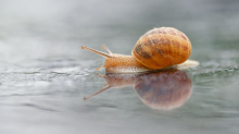 Wettervorhersage: Hin und Her beim Wetter - aber Regen wird seltener