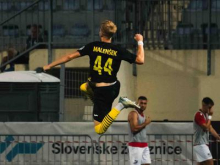 Elšnik ostaja v Crveni zvezdi, Malenšek iz Radomelj na Češko