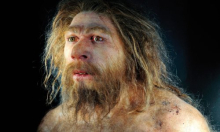 Kako su moderni ljudi pretekli izumrle rođake? Ključ je jedan enzim