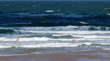 Klima: Bundesamt: Nordsee im Sommer überdurchschnittlich warm