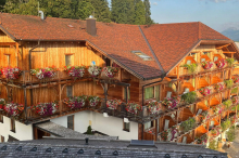Flora 2025: So schön blühten die Gärten und Balkone aus dem Einzelbewerb
