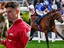Horse dies and jockey is hospitalised after rough fall at Ascot as stewards postpone enquiry into tragic incident