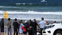 Surfbrett in Stücke gerissen: Surfer stirbt nach Hai-Attacke in Sydney - Strände gesperrt