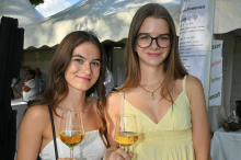 Völkermarkt: „Wine & More“ im Bürgerlustpark