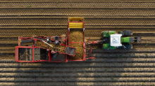 Landwirtschaft: Kartoffel- und Maisernte hat begonnen: Verkehrsbehinderungen