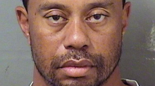 Ein prominenter Fall: Als Tiger Woods schlafend am Steuer entdeckt wurde