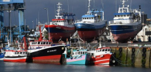 Fischerei: Welthandelsorganisation WTO beschließt Ende schädlicher Subventionen