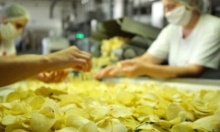 Krenula gradnja nove tvornice čipsa kod Bjelovara: Ulaganje vrijedno 25 milijuna eura