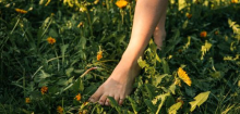 Ratschläge gegen Online-Radikalisierung: Darüber wächst kein Gras
