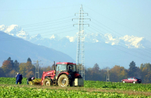 Za podporo slovenskim kmetom v obdobju 2028–34 predvidoma na voljo 1,3 milijarde evrov EU-sredstev