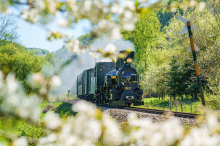 9 Plätze – 9 Schätze: Mariazellerbahn als Grüner-See-Nachfolger?