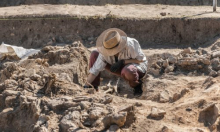 U Argentini otkriven novi dinosaur