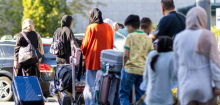 Schutzquote Asyl: Zahl bewilligter Anträge sinkt deutlich
