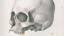 Anatomie-Geschichte: 