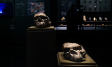 Pronađena ljudska lubanja stara milijun godina: Ovo mijenja povijest evolucije