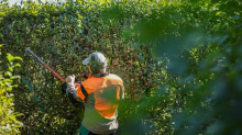 Neuerungen und Änderungen: Was sich im Oktober für Sie ändert
