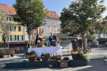 Grazer Evangelische feiern Erntedank – mit Schweizer Klangfarben