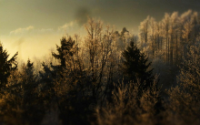 V notranjosti Slovenije se bodo jutranje temperature spustile v bližino ledišča
