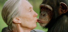Jane Goodall: Die Grande Dame des Naturschutz ist tot