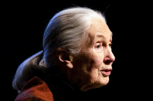 Jane Goodall