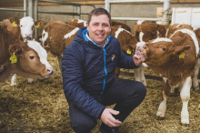 Weniger Rinderbauern: Saftige Preissteigerungen beim Rindfleisch