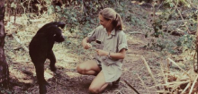 Jane Goodall: »Ich habe einfach meinen Traum verfolgt«
