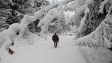OVOG DANA BIĆE 25 STEPENI: Posle velikih snežnih padavina, porast temperature - detaljna vremenska prognoza meteorologa Sovilja