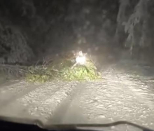 DRVEĆA PADAJU POD TEŽINOM SNEGA! Ruska zima već pravi haos u Srbiji, u ovim mestima je baš NAPADALO: Pogledajte zimske scene - a evo kakvo nas vreme TEK čeka! 