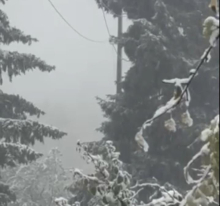 SNEG I NA VIDOJEVICI: Sela kod Prokuplja se zabelela (FOTO/VIDEO)