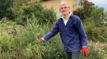 AMBROZIJA BUJA U SRBIJI, A SVE VIŠE LJUDI ALERGIČNIH NA NJU! Donosi velike muke, a u borbi sa alergenom pomaže čak i država: 