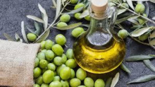 Olio d’oliva, l’annata è buona: aumenta la produzione ma resta l’incognita dazi