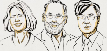 Nobelpreis für Medizin geht an drei Immunforscher