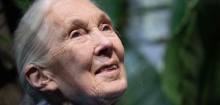 Jane Goodall hätte Donald Trump und Elon Musk gern ins All geschossen – ohne Rückfahrschein