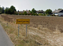 Ljudske iniciative Dolenjske: 