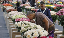 Cvjećarima smeta nelegalna prodaja putem društvenih mreža